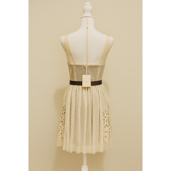 Ryu L Lace Mesh Dress Tan Cream Romantic Boho Cottagecore Vintage Fit Flare - Picture 2 of 16